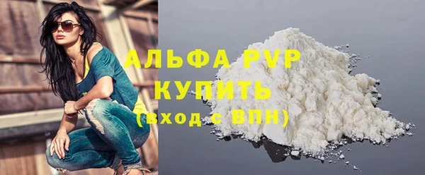 spice Богданович