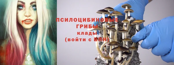 эйфоретик Богородицк