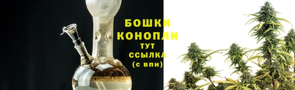 дживик Богородск