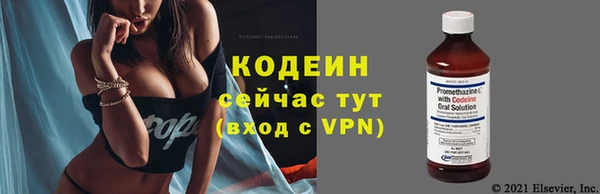 spice Богданович