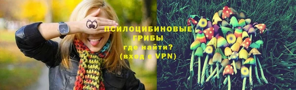 эйфоретик Богородицк