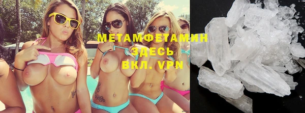 spice Богданович