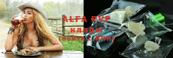 spice Богданович