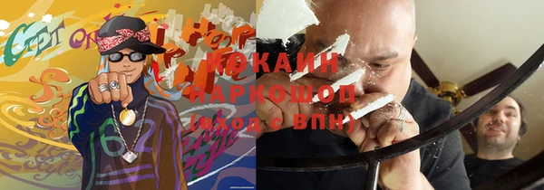 дживик Богородск